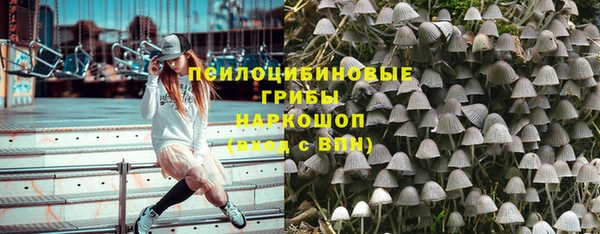 Альфа ПВП Богородицк