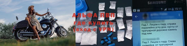 СК Богородск