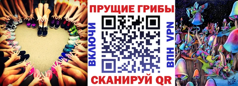 Галлюциногенные грибы Psilocybine cubensis  Белоозёрский 
